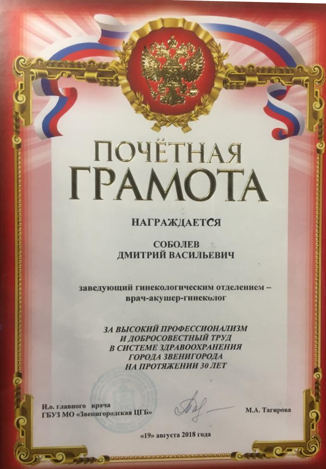 Сертификат 12