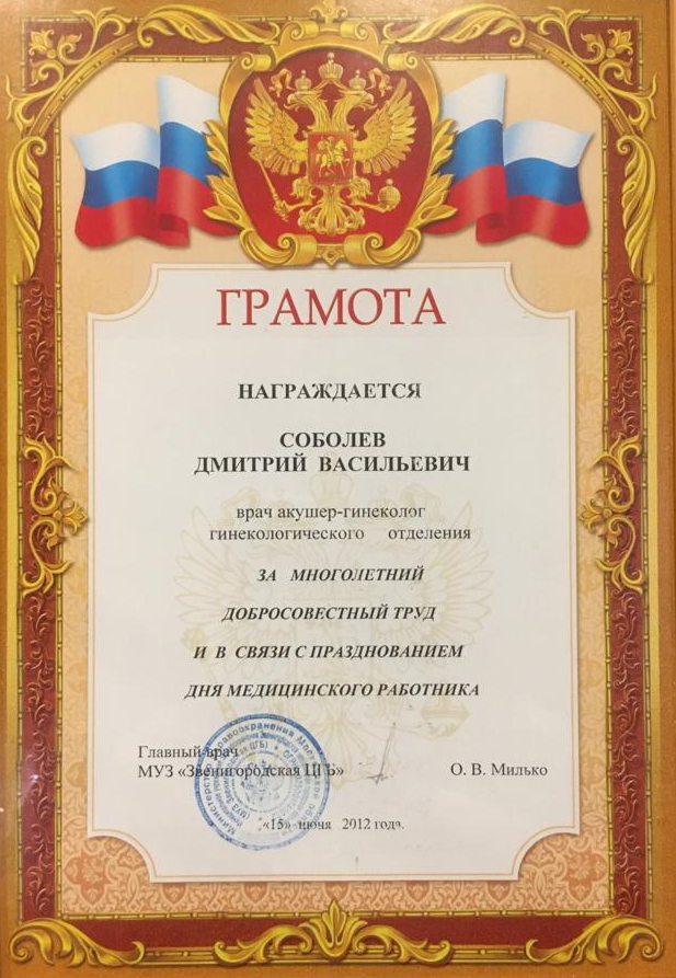 Сертификат 9